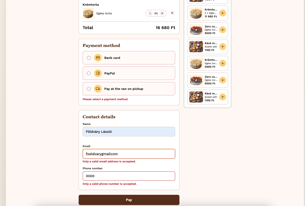 Checkout form showing inline validation errors